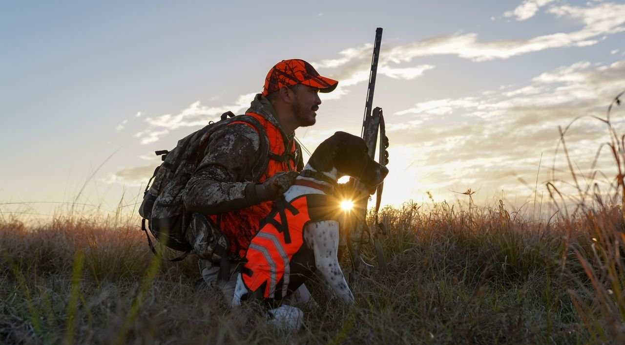 A hunter with a dog in a reflective safety vest at sunrise in a meadow.